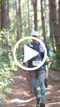 BIB:  <button type="button" onclick="openModal(26569590)" class="btn btn-primary btn-sm float-right" data-toggle="modal" data-target=".modal-high-quality">
                <i class="fa fa-download"></i> Download
                </button>